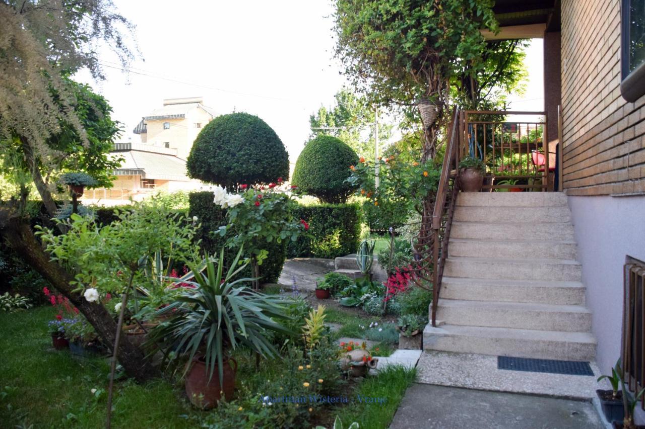 Apartman Wisteria Vranje Exterior foto